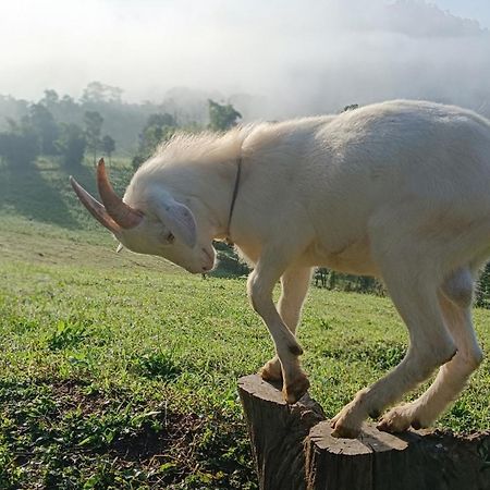 ไร่นิธิสุนทร Nithisoonthon Farmstay Mae Hong Son Exterior foto