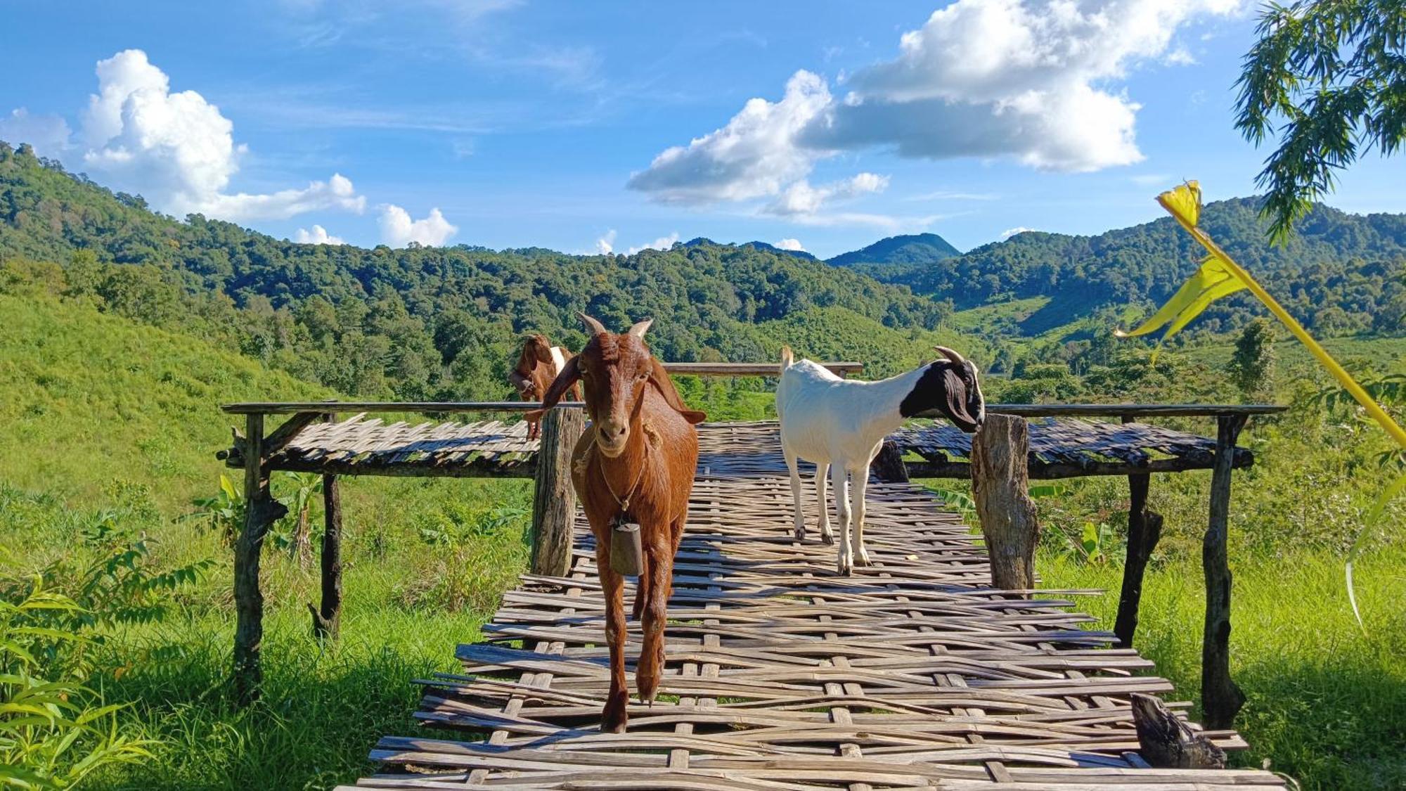 ไร่นิธิสุนทร Nithisoonthon Farmstay Mae Hong Son Exterior foto