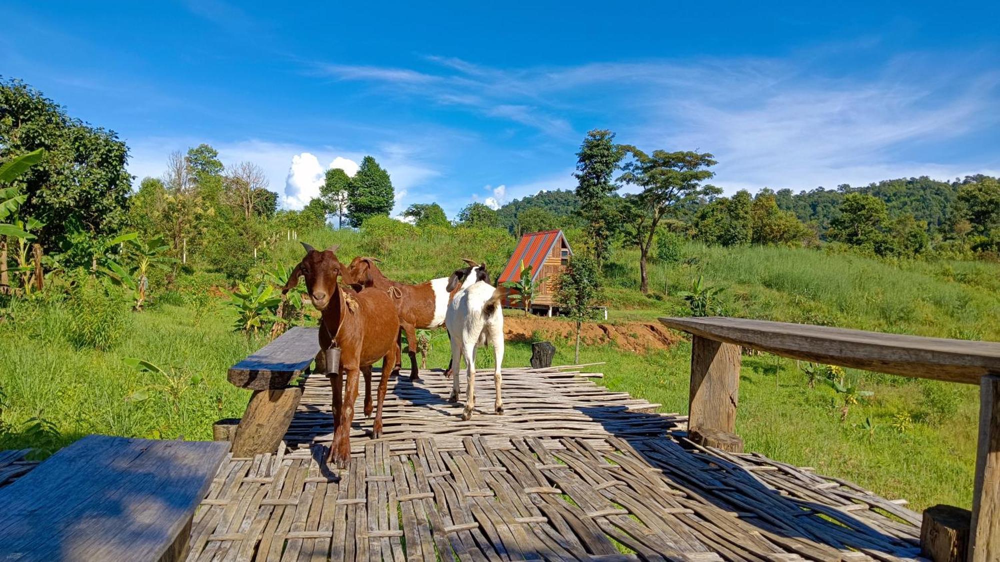 ไร่นิธิสุนทร Nithisoonthon Farmstay Mae Hong Son Exterior foto