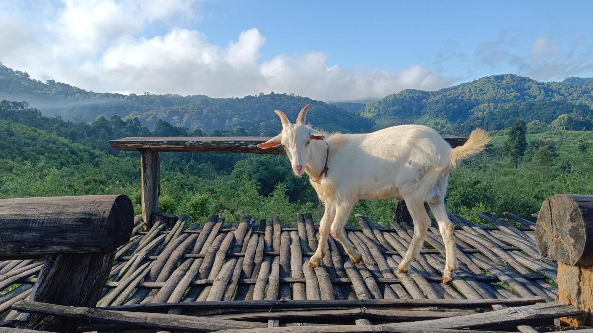 ไร่นิธิสุนทร Nithisoonthon Farmstay Mae Hong Son Exterior foto