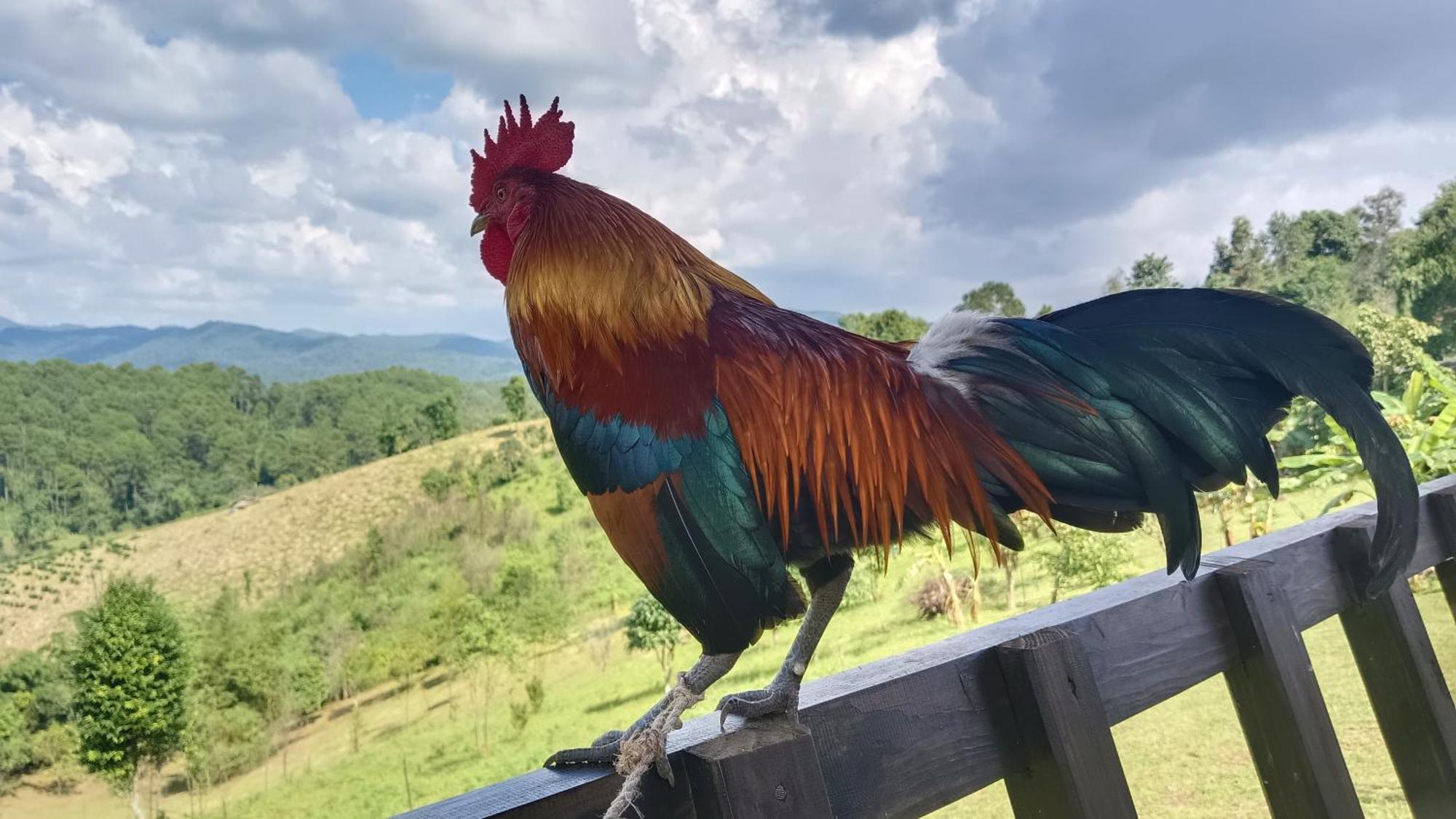 ไร่นิธิสุนทร Nithisoonthon Farmstay Mae Hong Son Exterior foto