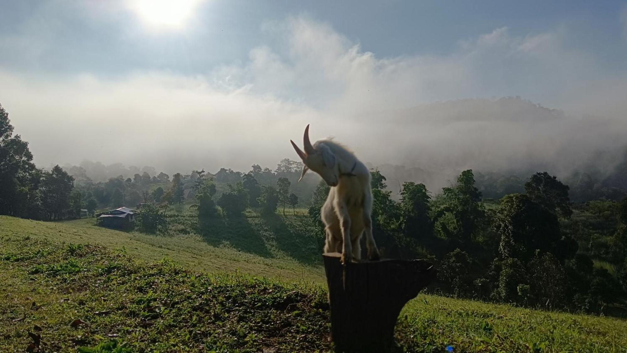ไร่นิธิสุนทร Nithisoonthon Farmstay Mae Hong Son Exterior foto
