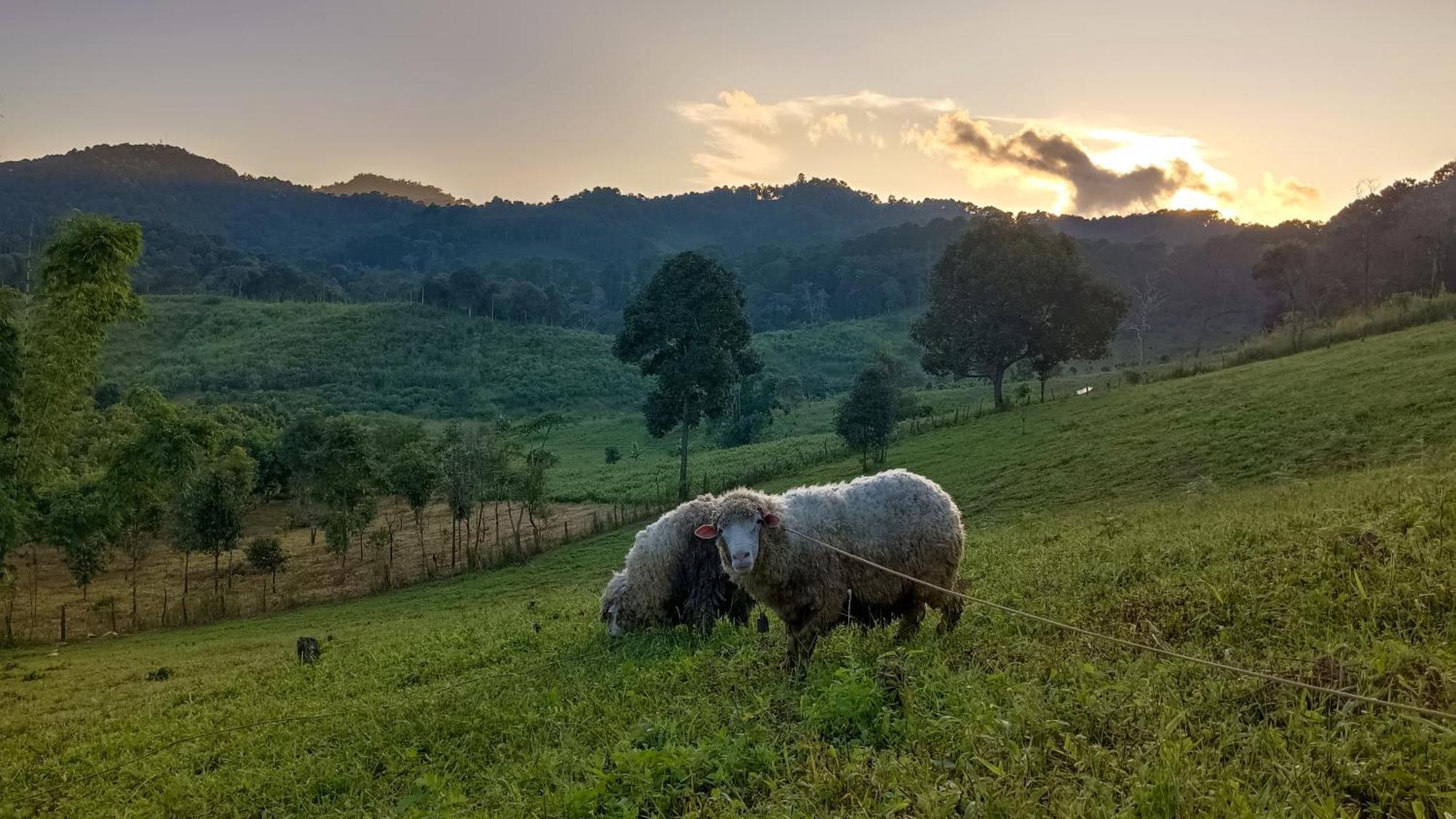 ไร่นิธิสุนทร Nithisoonthon Farmstay Mae Hong Son Exterior foto